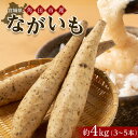 【ふるさと納税】【先行予約】宮城県角田市産ながいも約4kg(3~5本)【2025年11月下旬~順次発送】 | 野菜 やさい 食品 人気 おすすめ 送料無料