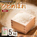 【ふるさと納税】【先行予約】【令和7年産】無洗米 ひとめぼれ5kg×1【9月中旬以降順次発送】