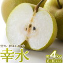 【ふるさと納税】梨「幸水」約4kg(8~10玉入)【松崎果樹園】 | フルーツ 果物 くだもの 食品 人気 おすすめ