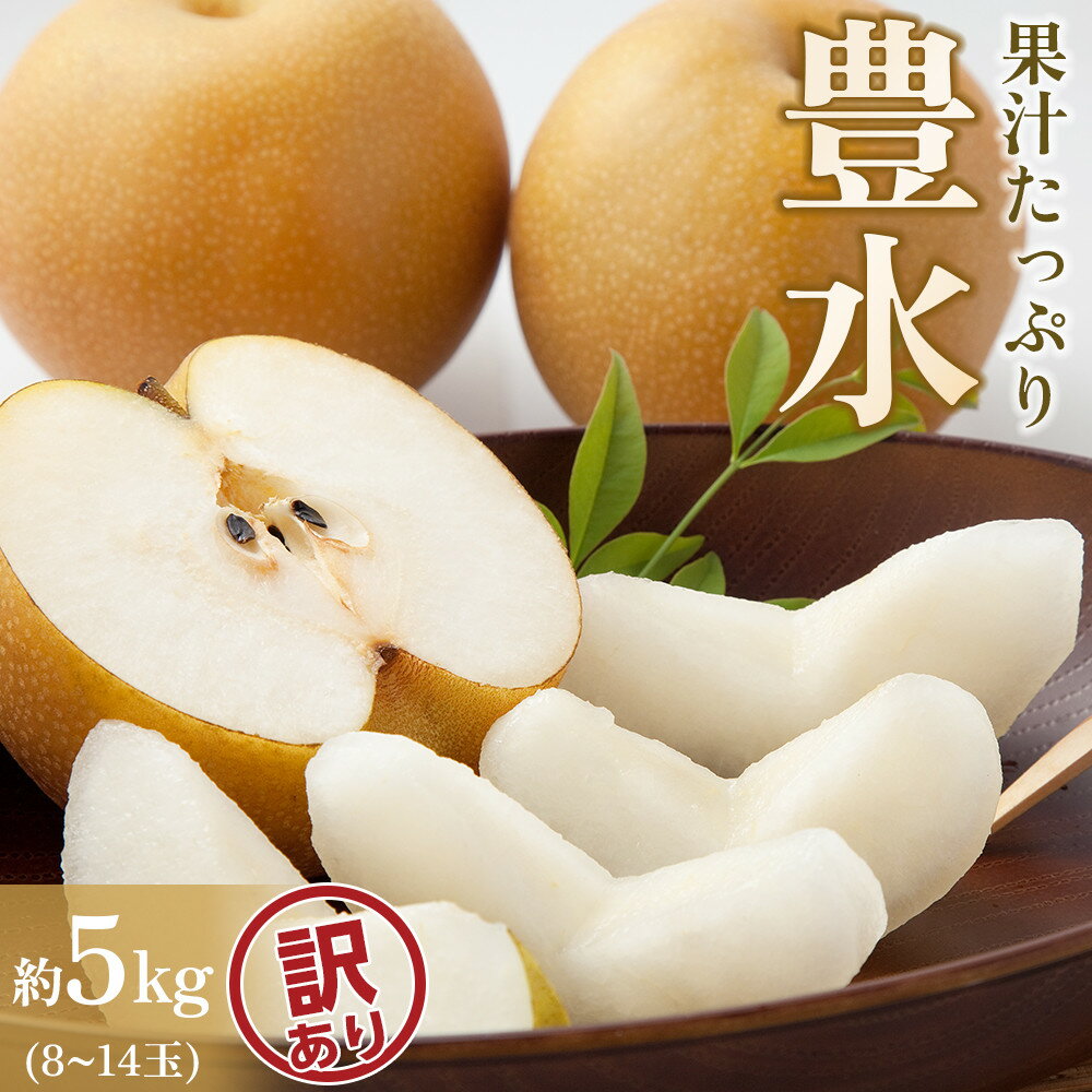 【ふるさと納税】【訳あり】【馬場果樹園】梨「豊水」約5kg（8～14玉入）順次発送のサムネイル
