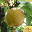 【ふるさと納税】【JAみやぎ仙南】梨「新高」約5kg (6~8玉入) | フルーツ 果物 くだもの 食品 人気 おすすめ 送料無料