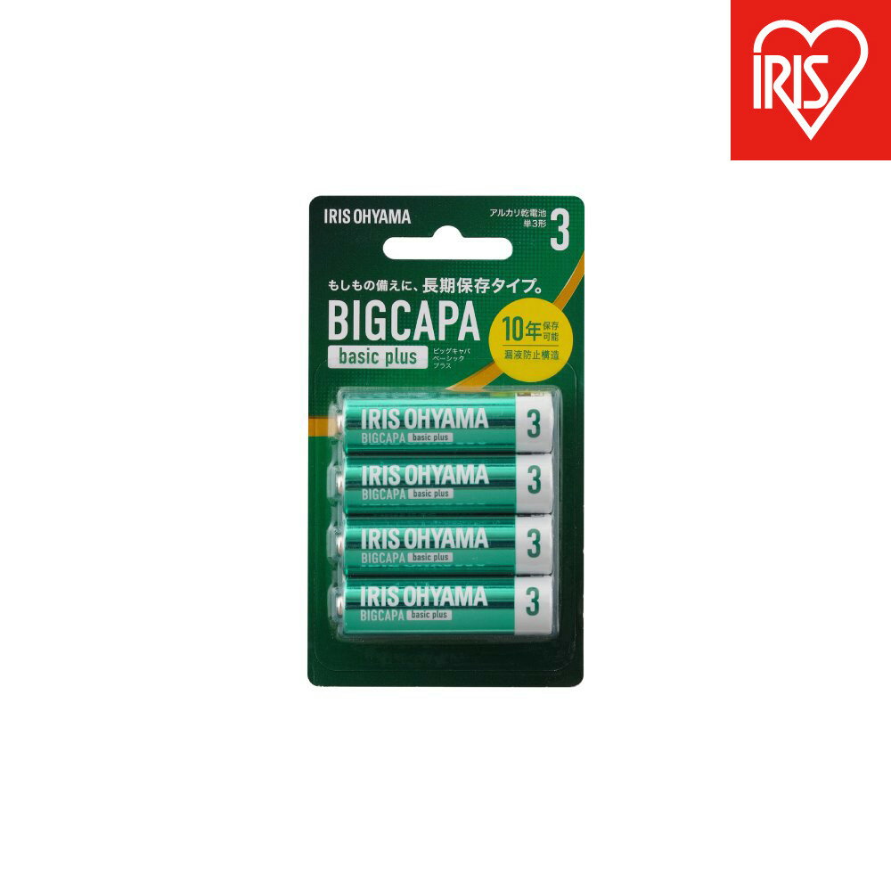 【ふるさと納税】【4本×12パック】BIGCAPA basic+ 単3アルカリ乾電池4本ブリスターパック　LR6Bbp/4B