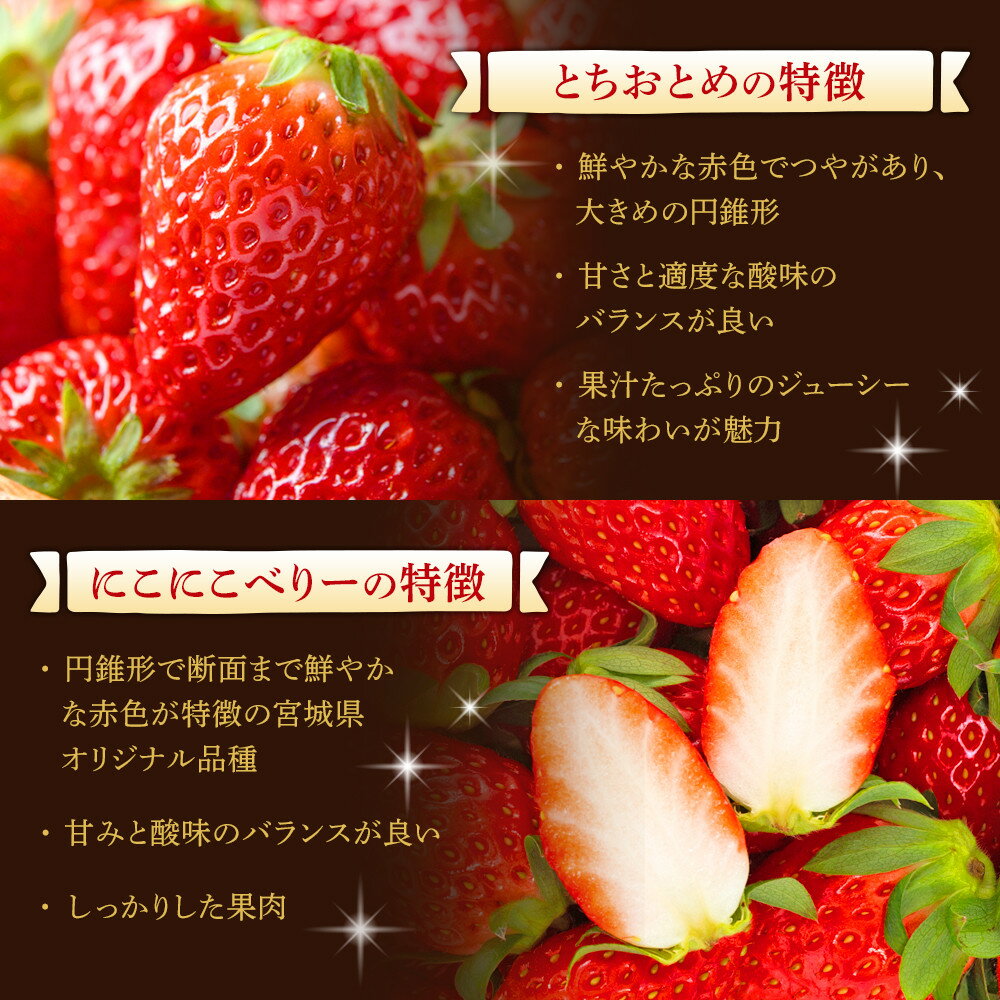 【ふるさと納税】【先行予約　JAみやぎ仙南】【容量選択可能】宮城県角田市産いちご　にこにこベリー・とちおとめ詰合せ　合計約500g or 1kg【2026年1月初旬より順次配送】 | イチゴ 苺 フルーツ 果物 くだもの 食品 人気 おすすめ 送料無料