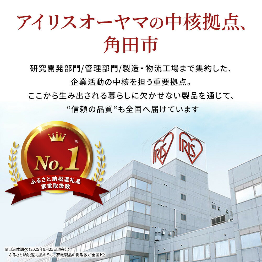 【ふるさと納税】乾電池 BIGCAPA PRIME 単3形 12本 LR6BP/12P 電池 乾電池 アルカリ乾電池 アルカリ電池 でんち アイリスオーヤマ | 新生活