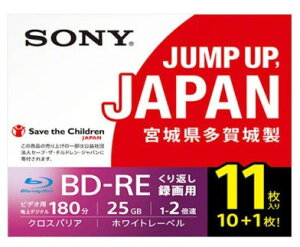 【ふるさと納税】ソニー ビデオ用ブルーレイディスク 1層(25GB) 11枚パック 11BNE1VSPS2 【04209-0166】