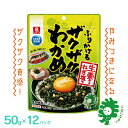 【ふるさと納税】ふりかけるザクザクわかめ生姜香るねぎ塩味 50g×12袋 【04209-0258】