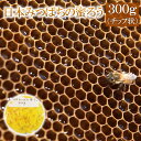 【ふるさと納税】日本みつばちの蜜ろう300g（チップ状） 【04209-0035】 添加物不使用 蜜ろう 日本蜜蜂