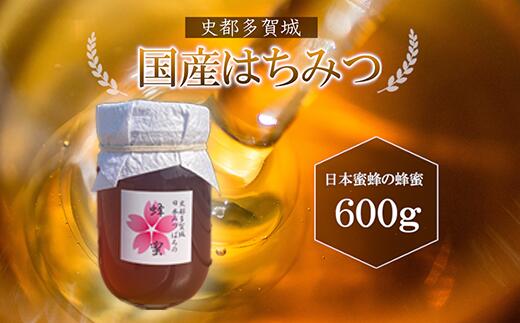【ふるさと納税】史都多賀城日本みつばちの蜂蜜600g　【04