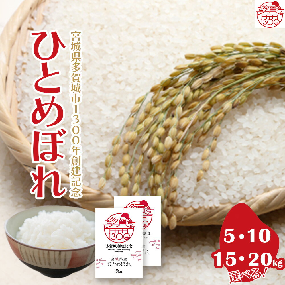 【ふるさと納税】【令和5年産】多賀城市ひとめぼれ　【0420