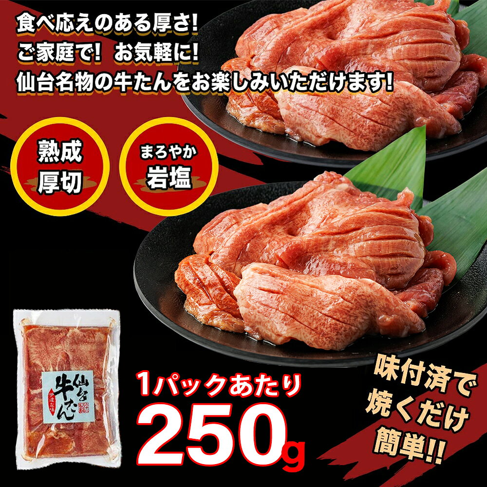 【ふるさと納税】【選べる定期便】仙台牛たん伊達な味（塩） 250g×2パック×2か月～6か月 1kg～3kg 牛たん 牛タン 牛 肉 焼肉 バーベキュー 仙台 宮城 塩 岩塩 仙台 宮城 名物 小分け 簡単 送料無料 【04209-0439～443】