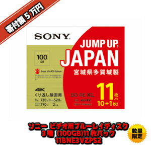 【ふるさと納税】ソニービデオ用ブルーレイディスク　3層（100GB）11枚パック　11BNE3VZPS2