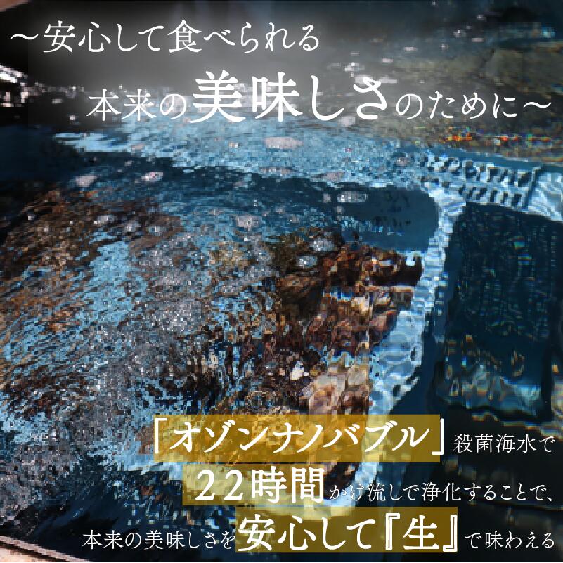 【ふるさと納税】 殻付き牡蠣 生食可 選べる 2.5kg～10kg かき 牡蠣 カキ オイスター 生食用牡蠣 生牡蠣 冷凍牡蠣 冷凍カキ 冷凍かき 殻付牡蠣 殻付きカキ 殻付き 牡蠣貝 海産物 海鮮 水産物 焼き牡蠣 蒸し牡蠣 カキフライ 牡蠣鍋 土手牡蠣 牡蠣ご飯 南三陸 宮城 女川 岩沼市 f042111-iwanuma-10001744 宮城県岩沼市 サンプル画像3