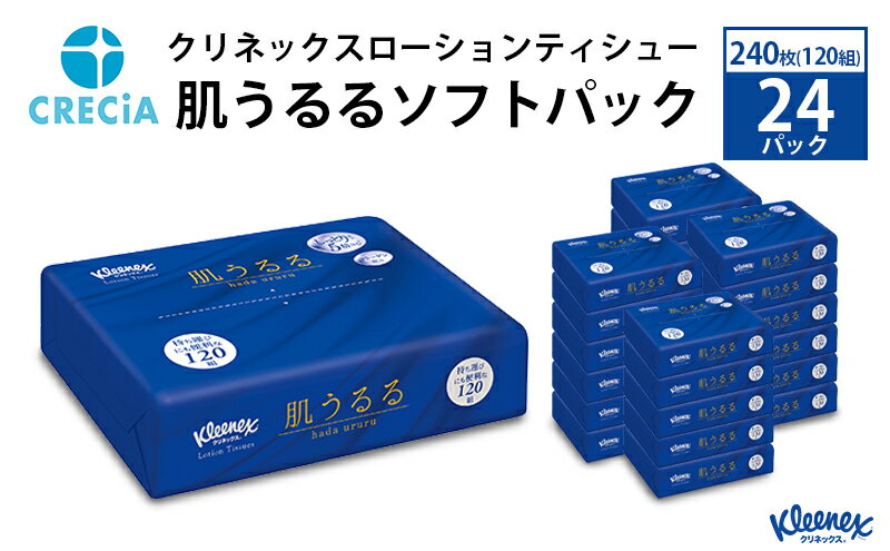 【ふるさと納税】クリネックスローションティシュー肌うるるソフトパック 240枚（120組）24パック入り ティッシュ　【雑貨・日用品】