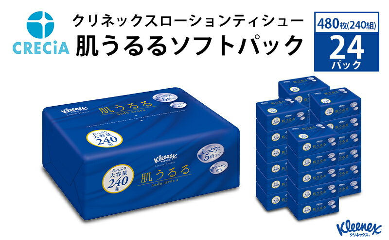 【ふるさと納税】クリネックスローションティシュー肌うるるソフトパック 480枚（240組）24パック入り ティッシュ　【雑貨・日用品】