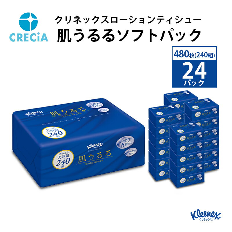 【ふるさと納税】クリネックスローションティシュー肌うるるソフトパック 480枚（240組）24パック入り ティッシュ　【雑貨・日用品】