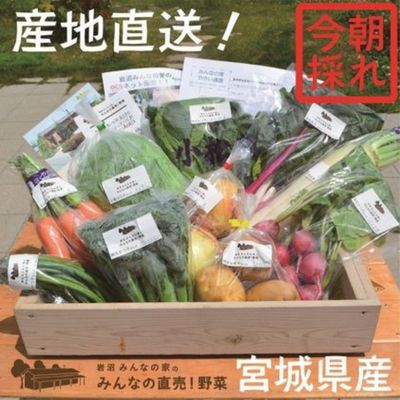 【ふるさと納税】採れたて野菜を箱いっぱい詰め込んで♪岩沼みんなの家の「みんなの直売！野菜」セット詰め合わせ　【野菜・セット・詰合せ】のサムネイル