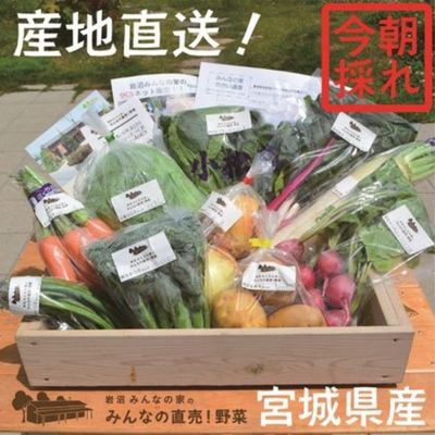 採れたて野菜を箱いっぱい詰め込んで♪岩沼みんなの家の「みんなの直売!野菜」セット詰め合わせ [野菜・セット・詰合せ]