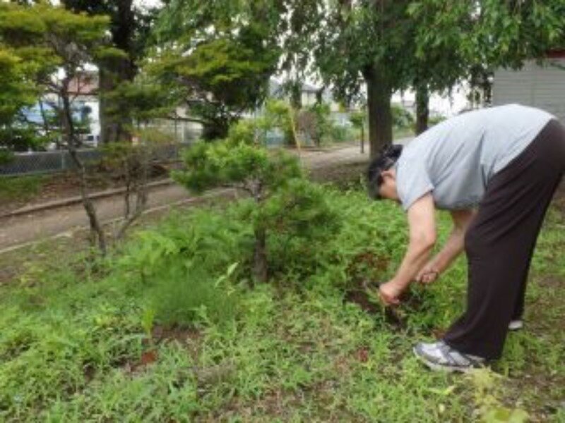 【ふるさと納税】【岩沼市】空き家管理サービスA...の紹介画像2