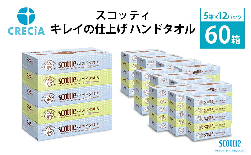 【ふるさと納税】ペーパータオル スコッティ キレイの仕上げ ハンドタオル 1ケース（ 5箱 × 12パック入り ）　【 日用品 日用雑貨 日用消耗品 生活必需品 必需品 消耗品 紙 ペーパー 】