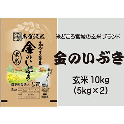 金のいぶき　玄米10kg（5kg×2）　【お米・宮城県産】　お届け：2024年10月以降発送開始