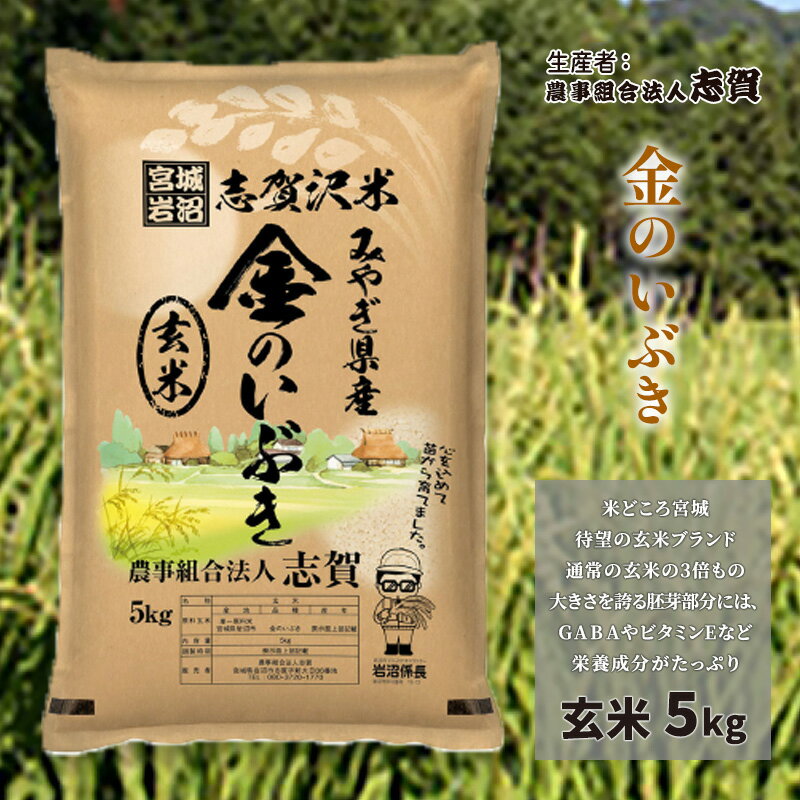 3位! 口コミ数「0件」評価「0」金のいぶき　玄米5kg　【お米・宮城県産】　お届け：2024年10月以降発送開始