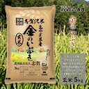 7位! 口コミ数「0件」評価「0」金のいぶき　玄米5kg　【お米・宮城県産】　お届け：2024年10月以降発送開始