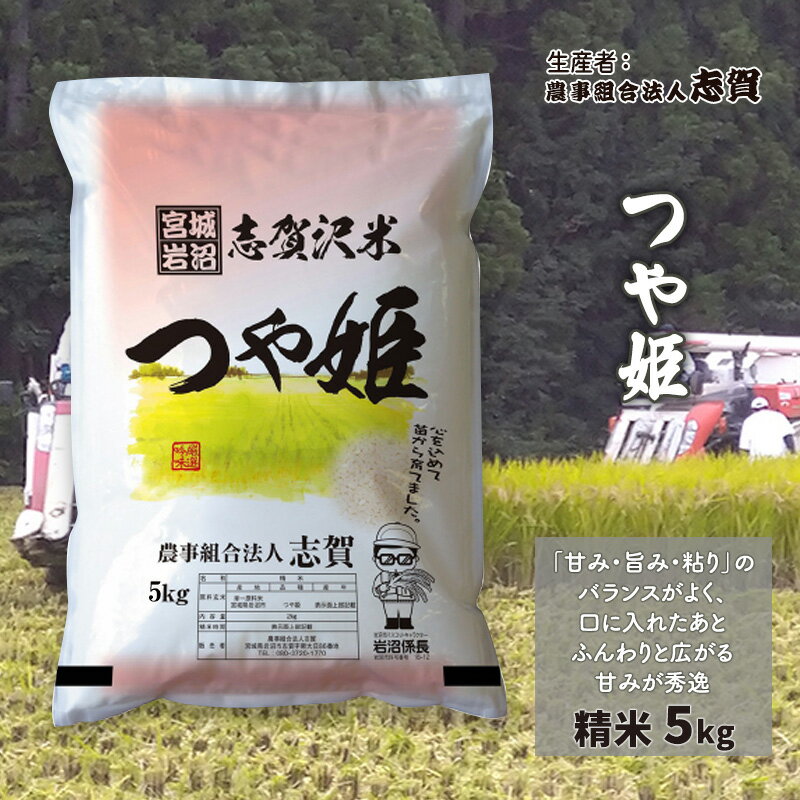 米 つや姫 5kg 志賀沢米 岩沼産 お米 白米 精米 ブランド米 単一原料米 5キロ こめ コメ おこめ ご飯 ライス つやひめ 宮城県産つや姫 東北 宮城県産 宮城米 グルタミン酸 アスパラギン酸 宮城 宮城県 岩沼市 お届け:2025年9月中旬〜2025年10月中旬