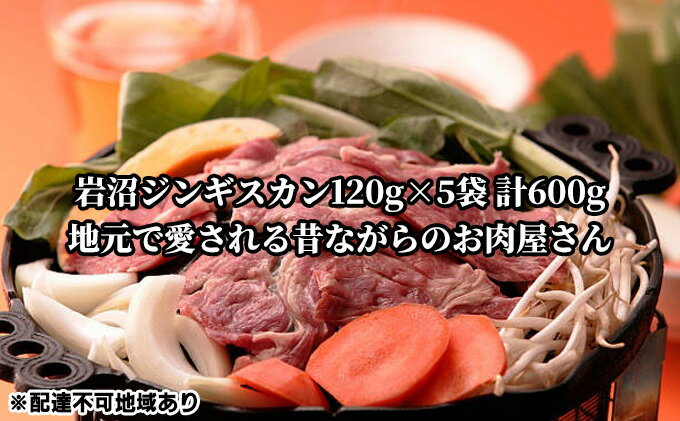 【ふるさと納税】岩沼ジンギスカン120g×5袋 計600g　【 羊肉 ラム肉 肉料理 本場の味再現 おかず つまみ ビールに合う 特製ジンギスカン ヘルシー 夕飯 夜ごはん 】