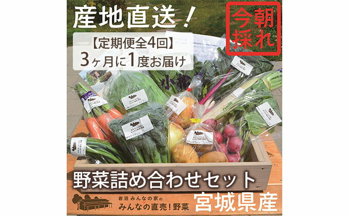 【ふるさと納税】【定期便全4回】3ヶ月に1度お届け！岩沼みんなの家の「みんなの直売！野菜」セット詰め合わせ隔月4回　【定期便・野菜・セット・詰合せ】