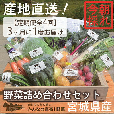 【ふるさと納税】【定期便全4回】3ヶ月に1度お届け！岩沼みんなの家の「みんなの直売！野菜」セット詰め合わせ隔月4回　【定期便・野菜・セット・詰合せ】