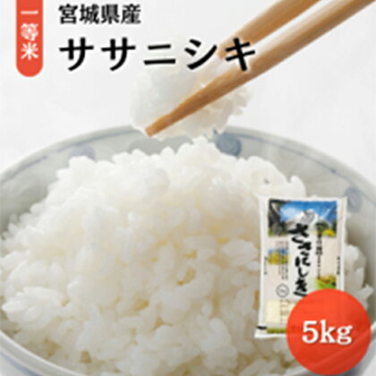 令和5年宮城県産ササニシキ（5kg）　【 お米 白米 精米 子供 家族 美味しい 希少 もちもち あっさり こだわり 】