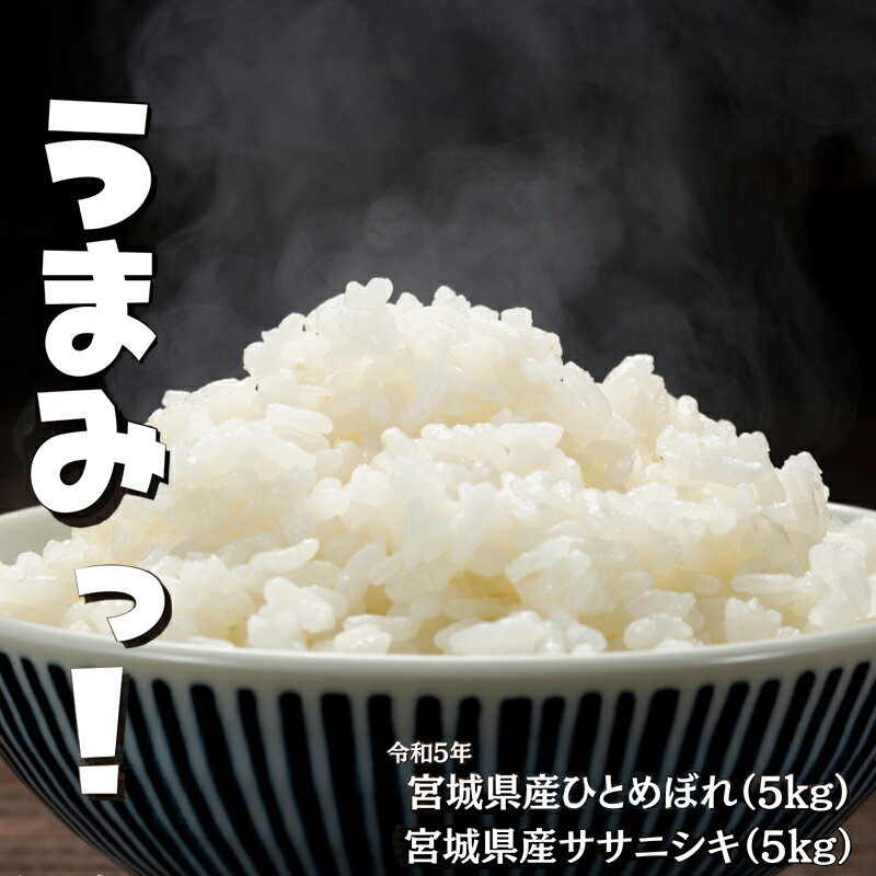 宮城産 ひとめぼれ 【ふるさと納税】令和5年宮城県産ひとめぼれ/ササニシキ（各5kg・合計10kg）　【岩沼市】