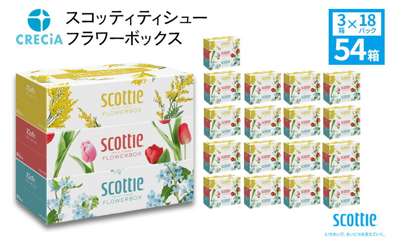 【ふるさと納税】スコッティ ティシュー フラワーボックス 250組3箱×18パック ティッシュ　【雑貨・日用品】