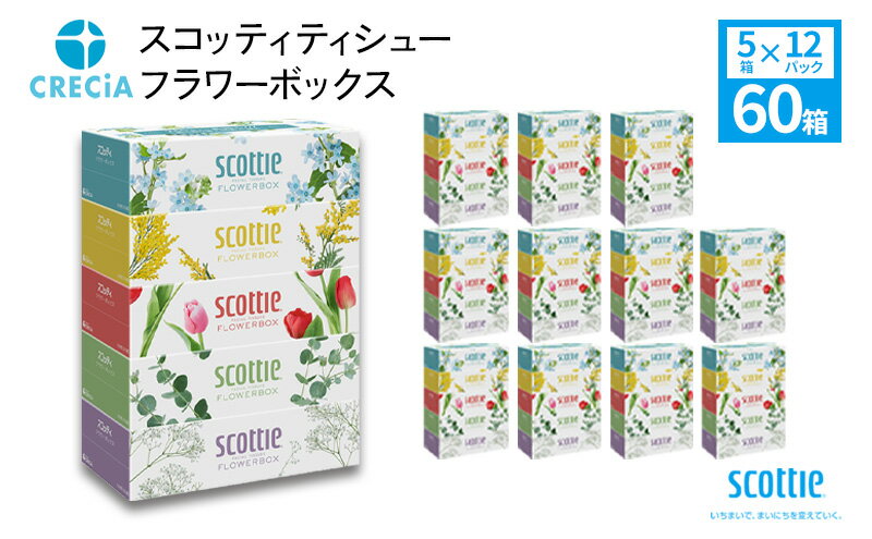 【ふるさと納税】スコッティ ティシュー フラワーボックス 250組5箱×12パック ティッシュ　【雑貨・日用品】