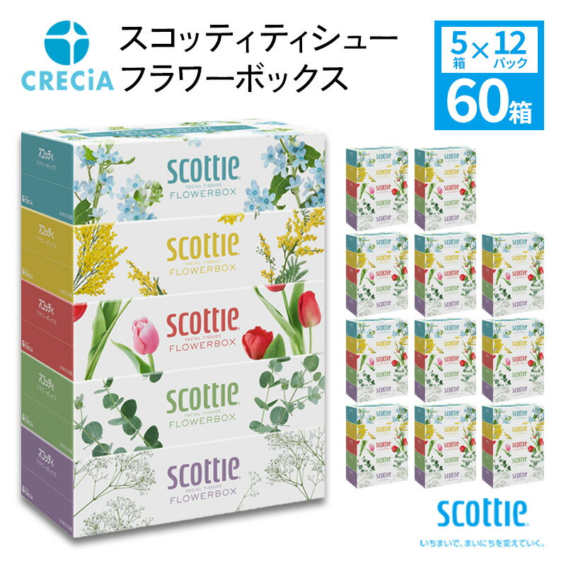【ふるさと納税】スコッティ ティシュー フラワーボックス 250組5箱×12パック ティッシュ　【雑貨・日用品】