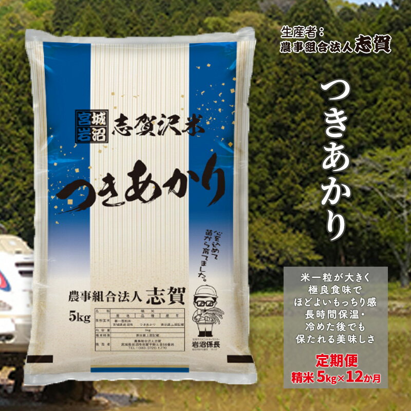 【ふるさと納税】【12ヶ月定期便】宮城県岩沼市産 つきあかり 精米5kg　【定期便・岩沼市】