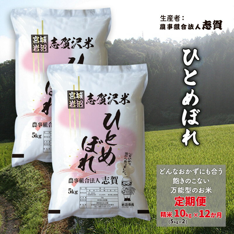 【ふるさと納税】【12ヶ月定期便】宮城県岩沼市産 ひとめぼれ