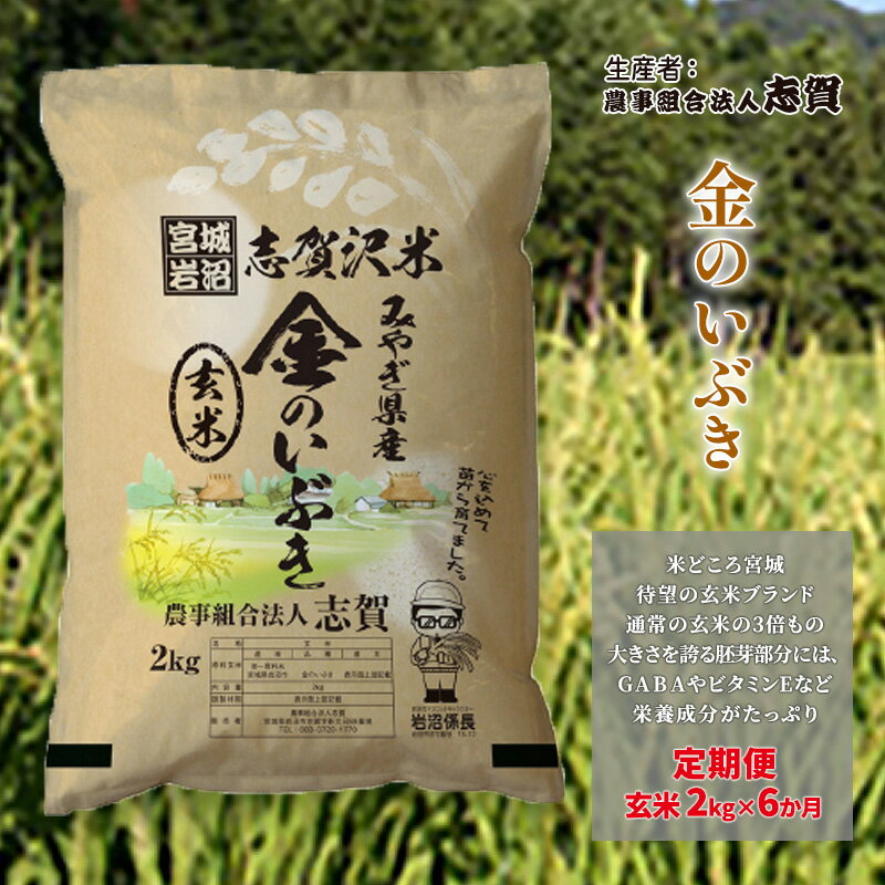 【ふるさと納税】玄米 定期便 6ヶ月 金のいぶき 2kg 志賀沢米 岩沼産 お米 ブランド米 2キロ こめ コメ ご飯 ライス 玄米ごはん 玄米ご..