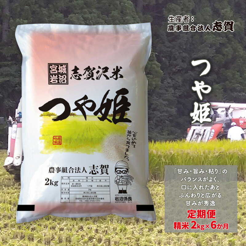 [6ヶ月定期便]宮城県岩沼市産 つや姫 精米2kg [定期便・岩沼市]