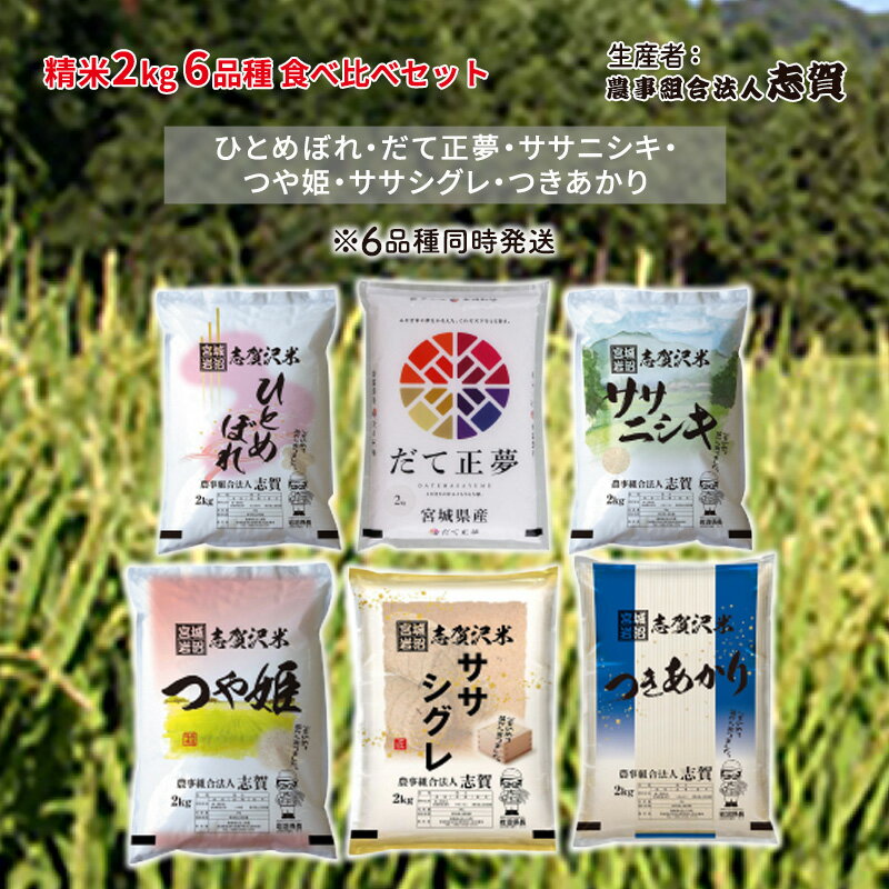 【ふるさと納税】【令和7年度産新米】米 食べ比べセット 2kg 志賀沢米 岩沼産 ひとめぼれ だて正夢 ササニシキ つや姫 ササシグレ つき..