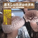 【ふるさと納税】椎茸 原木 ホダ木 しいたけ 菌 育てる 栽培 キット 販売 原木しいたけ 原木椎茸 しいたけ原木 シイタケ原木 原木しいたけ栽培キット きのこ...
