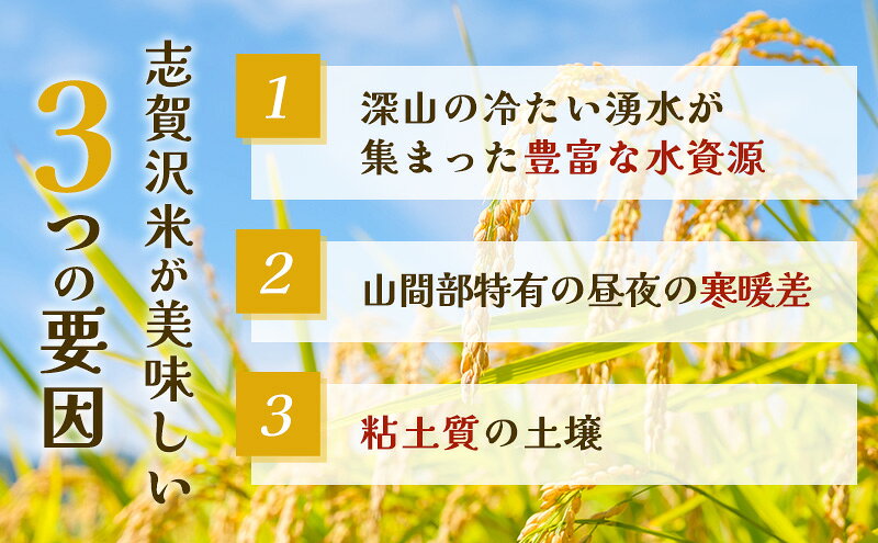 【ふるさと納税】 【令和7年産】 訳あり レトルト だて正夢 2026年10月末 志賀沢米 レンジアップごはん 20個 セット 常温 常温保存 レトルト食品 パックご飯 パックごはん ごはん ご飯 宮城県 岩沼市 f042111-iwanuma-10000612 宮城県岩沼市 サンプル画像3