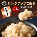 【ふるさと納税】【令和7年産新米】レトルト 金のいぶき 志賀沢米レンジアップごはん24個セット 常温 常温保存 レトルト食品 パックご飯 パックごはん ごはん ...
