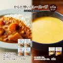 【ふるさと納税】【お中元】NISHIKIYA KITCHEN からだ想いカレースープ6食セット インスタント 詰め合わせ レンジ 調理 レトルト食品 スープ 惣菜 保存食 災害 防災 備蓄 長期保存 常温 常温保存 お届け:2025年8月1日~2025年8月8日