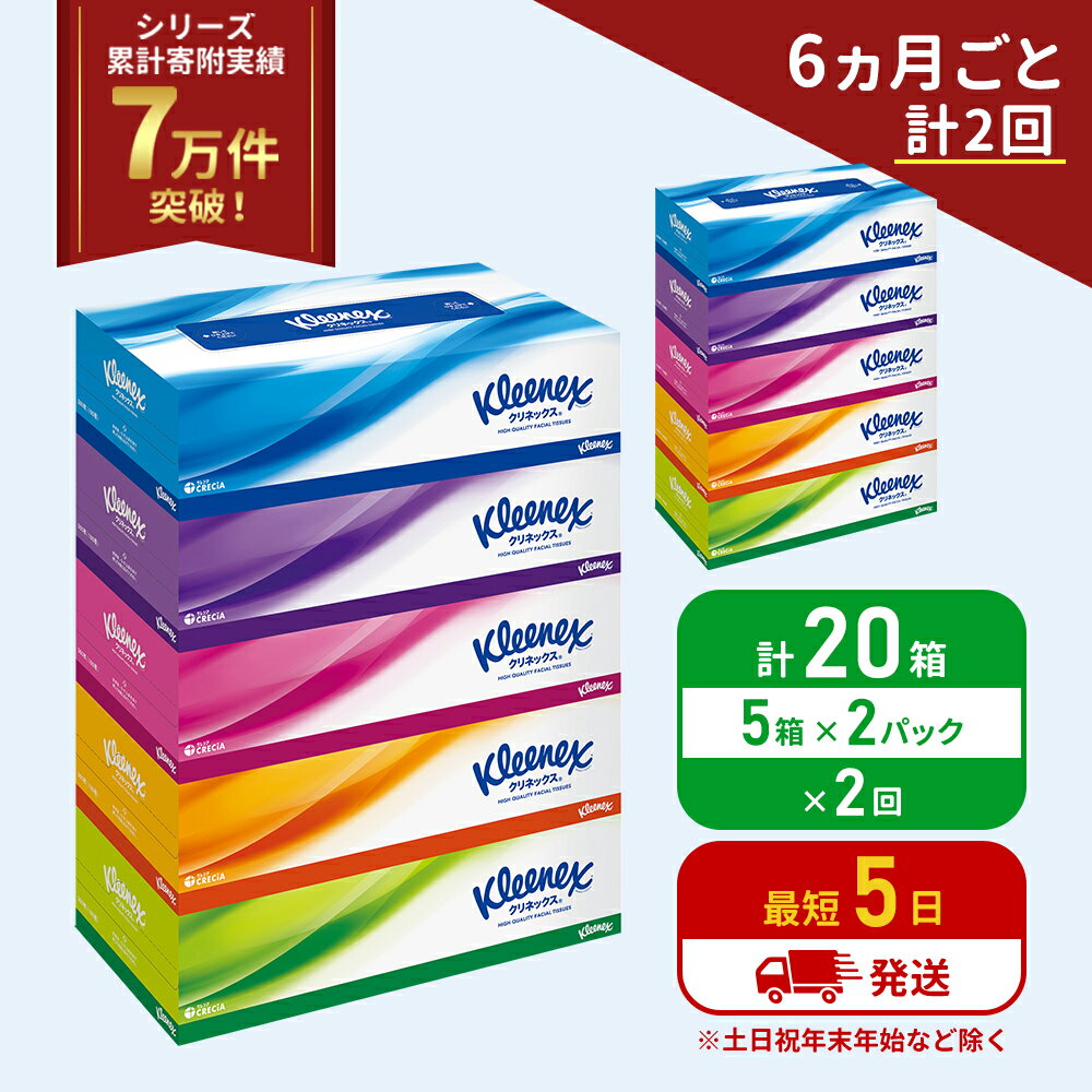 定期便 ティッシュ クリネックス ティシュー 5箱入×2パック[6ヶ月ごと計2回] ティッシュペーパー セット 柔らかい 節約 日用品 日用雑貨 備蓄 備蓄用 防災 災害 ボックスティッシュ テッシュ ペーパー ローリングストック 宮城 岩沼市