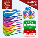 【ふるさと納税】定期便 ティッシュ クリネックス ティシュー 5箱入×4パック《6ヶ月ごと計2回》 ティッシュペーパー セット 柔らかい 節約 日用品 日用雑貨 備蓄 備蓄用 防災 災害 ボックスティッシュ テッシュ ペーパー ローリングストック 宮城 岩沼市
