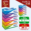 【ふるさと納税】定期便 ティッシュ クリネックス ティシュー 5箱入×2パック《4ヶ月ごと計3回》 ティッシュペーパー セット 柔らかい 節約 日用品 日用雑貨 備蓄 備蓄用 防災 災害 ボックスティッシュ テッシュ ペーパー ローリングストック 宮城 岩沼市