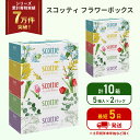 【ふるさと納税】ティッシュ スコッティ フラワーボックス 10箱 (5箱×2パック) ティッシュペーパー ティシュー ティシューペーパーボックスティッシュ ボッ...