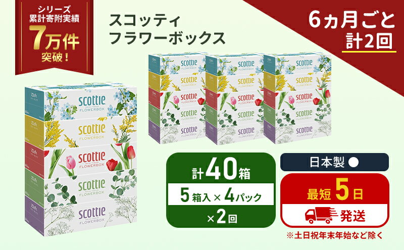 【ふるさと納税】定期便 ティッシュ スコッティ フラワーボックス 40箱 (5箱×4パック)《6ヶ月ごと計2 回》 ティッシュペーパー ティシューペーパーボックスティッシュ ボックスティシュー ティシュペーパー 防災 災害 日用品 生活用品 生活必需品 宮城県 岩沼市