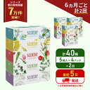 【ふるさと納税】定期便 ティッシュ スコッティ フラワーボックス 40箱 (5箱×4パック)《6ヶ月ごと計2 回》 ティッシュペーパー ティシューペーパーボックスティッシュ ボックスティシュー ティシュペーパー 防災 災害 日用品 生活用品 生活必需品 宮城県 岩沼市